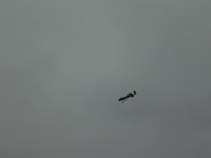 A-10 Thunderbolt.II./Warthog