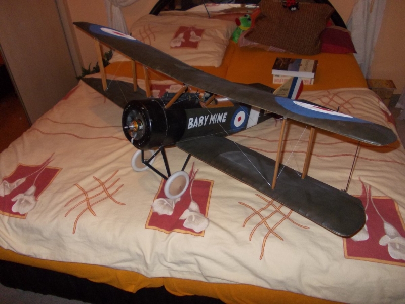 Sopwith Pup 1/6