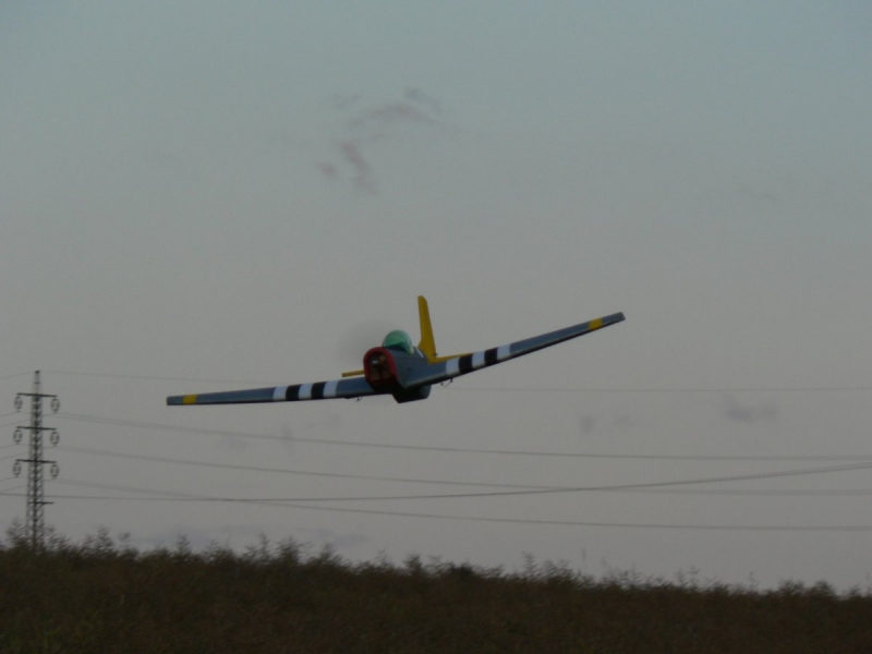 P-51D