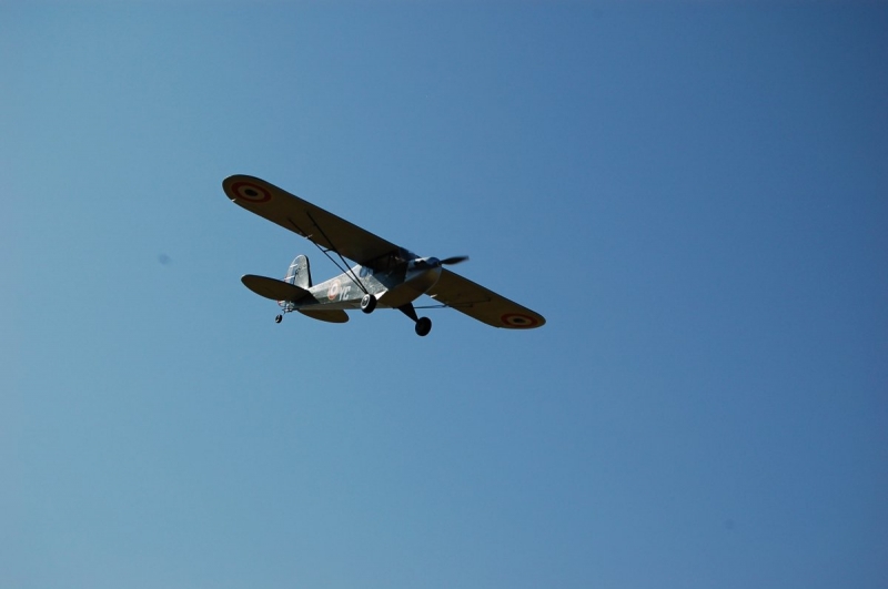 Piper Grasshoppar 1400mm