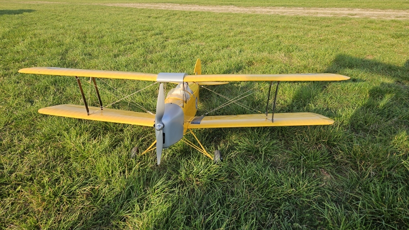 Tiger-Moth Pichler