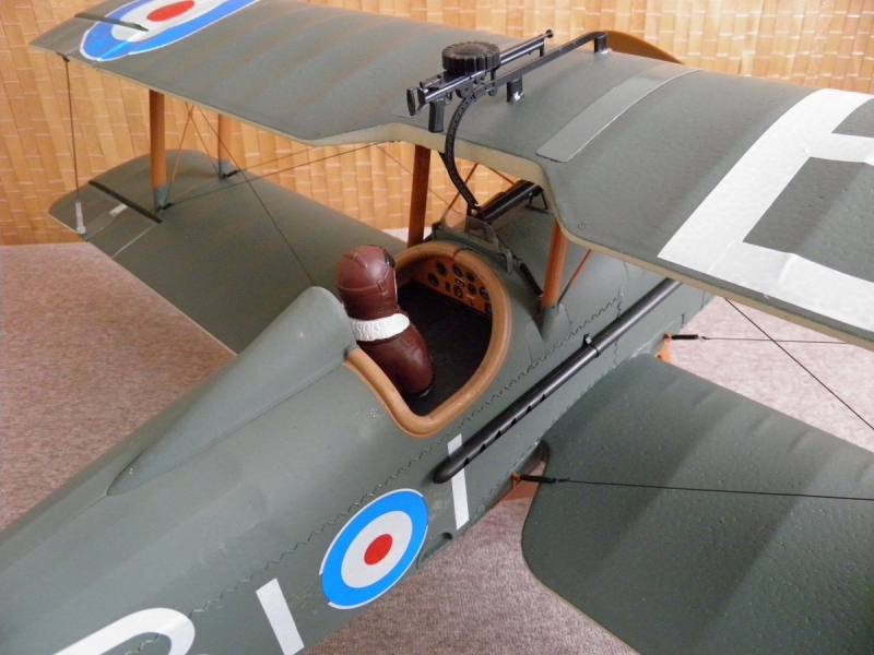 SE 5a