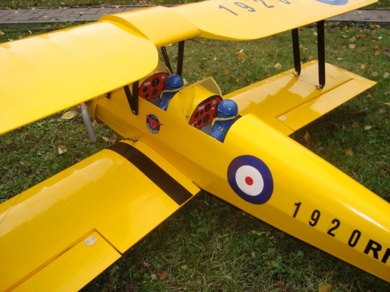 Tiger Moth size .40