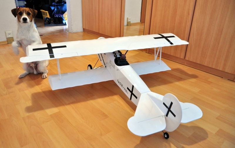 Fokker DVII