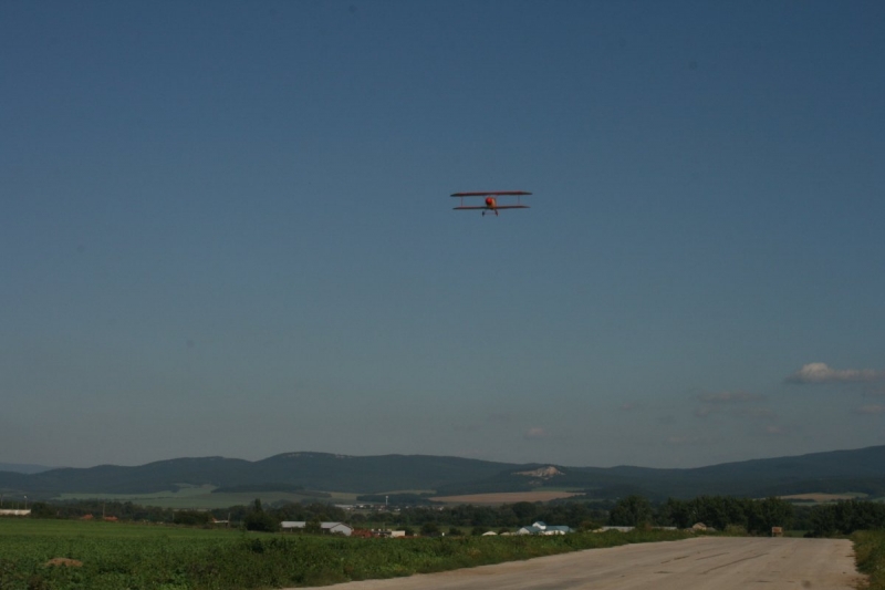 Albatros DVa