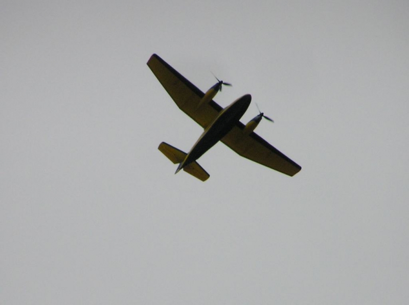 Grumman G-44 Widgeon