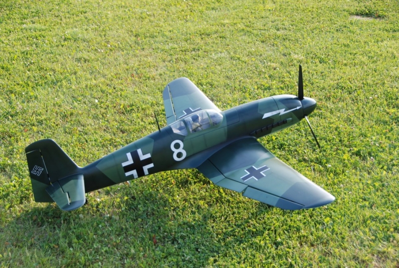 Heinkel He 100 - D