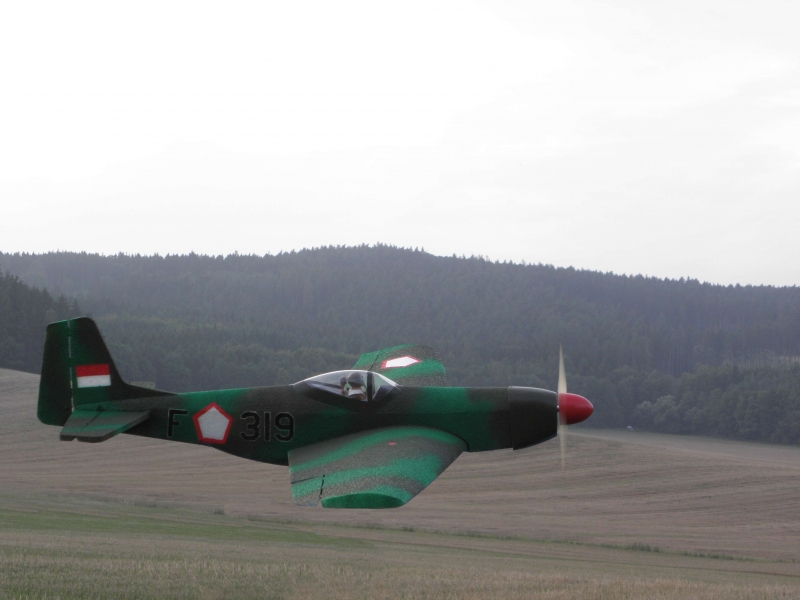 North American P-51D Mustang (Indonesie)