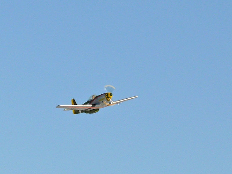 P-51D Mustang Gunfighter