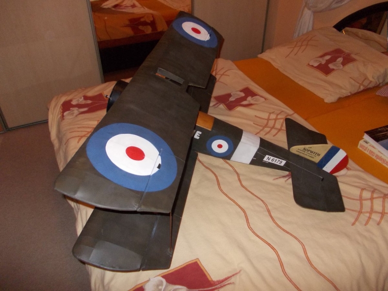 Sopwith Pup 1/6