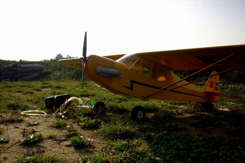 Piper Cub