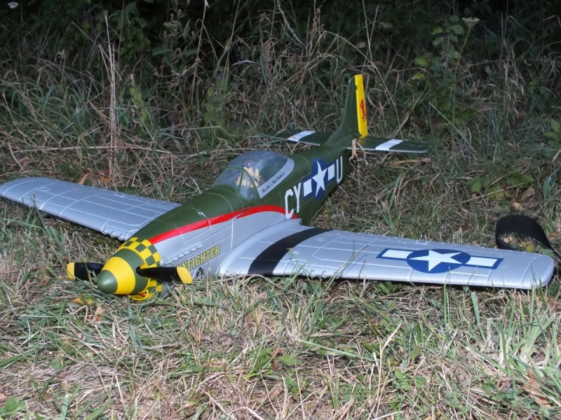 P-51 Mustang Gunfighter ARF