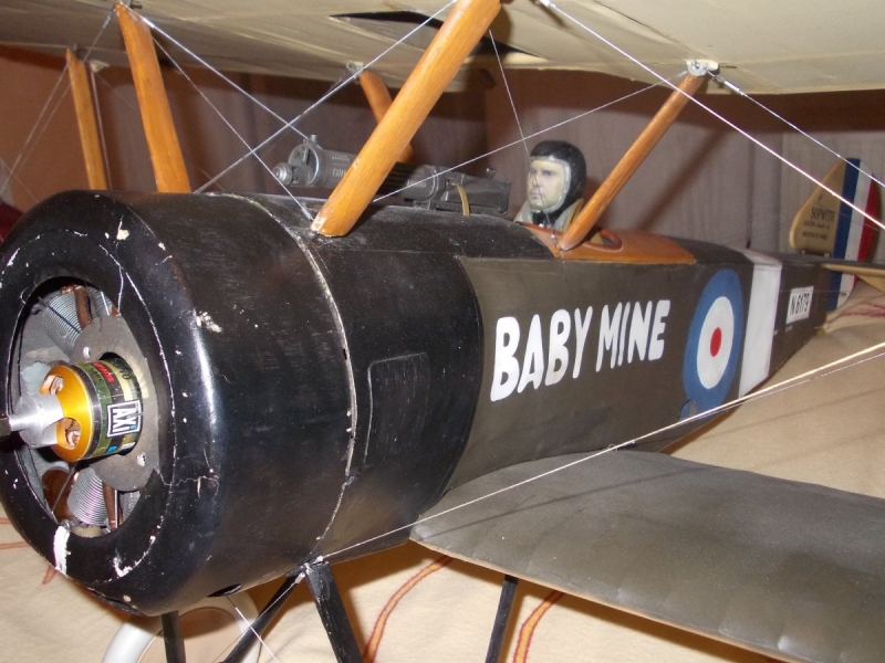 Sopwith Pup 1/6