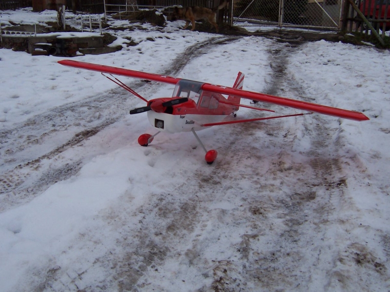 Bellanca Decathlon