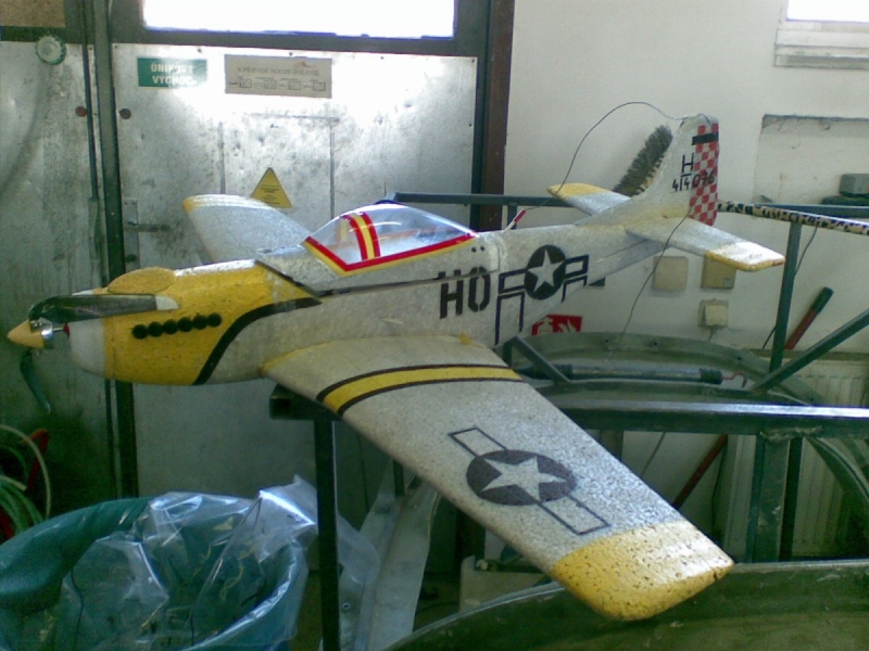 MUSTANG P51