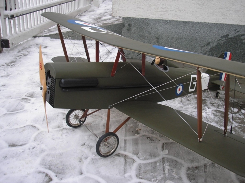 SE5a