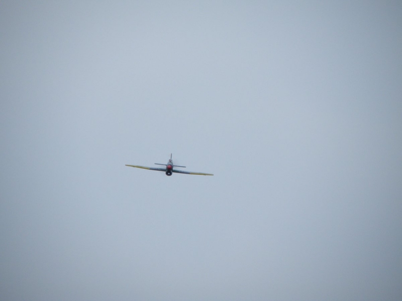 Hawker Tempest MkV