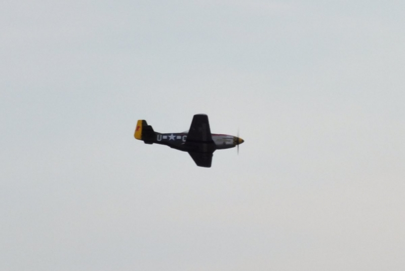 P-51 Mustang Gunfighter ARF