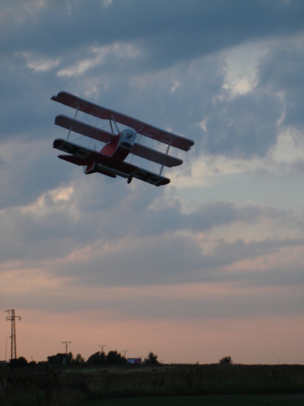 Fokker Dr. I (2008)