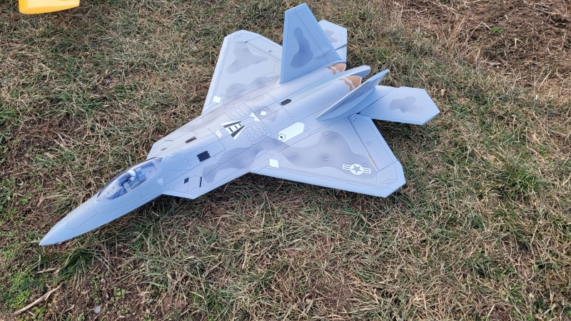 F-22 Freewing 64mm