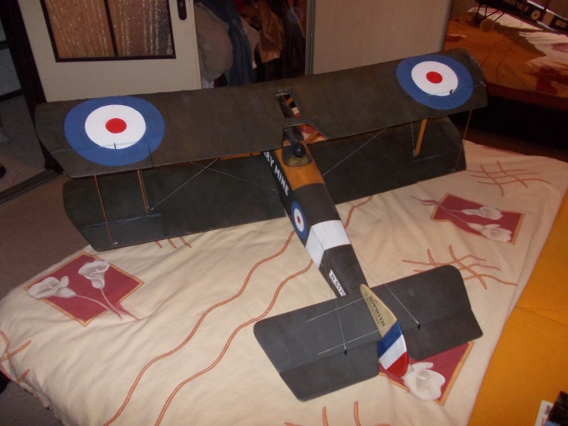 Sopwith Pup 1/6