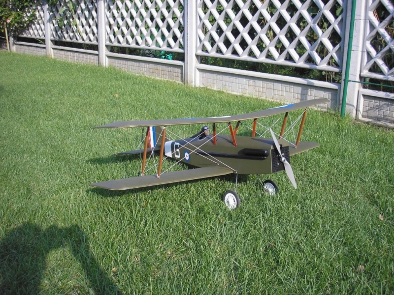 SE5a