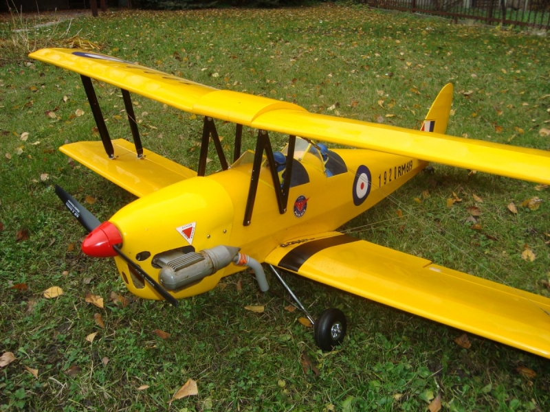 Tiger Moth size .40