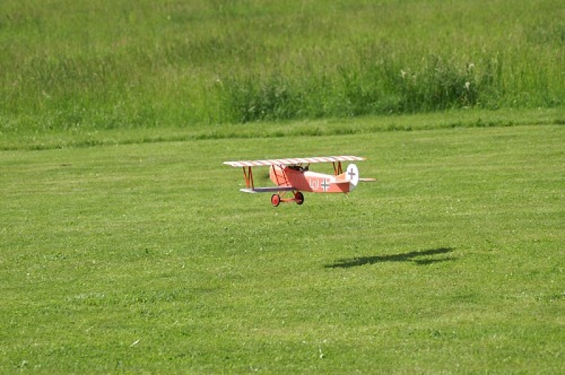 Fokker DVII