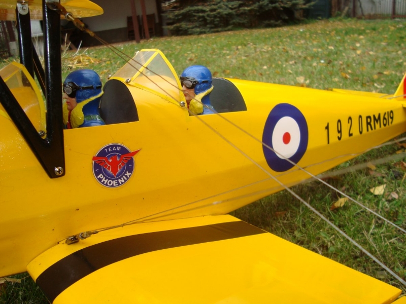 Tiger Moth size .40