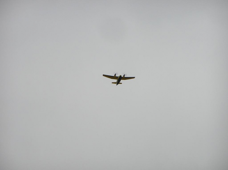 Grumman G-44 Widgeon