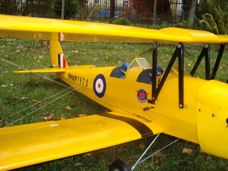 Tiger Moth size .40