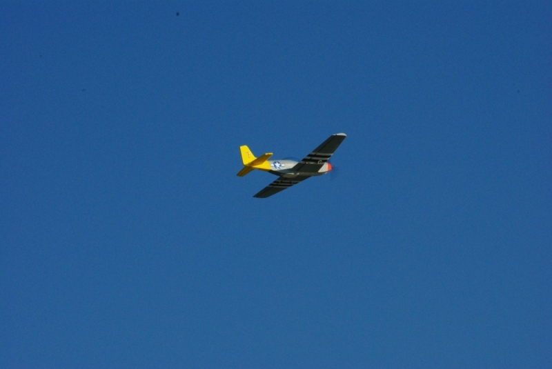 P-51D Mustang