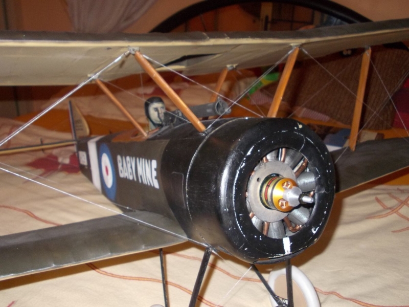 Sopwith Pup 1/6