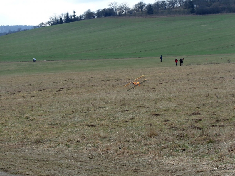 Tiger Moth