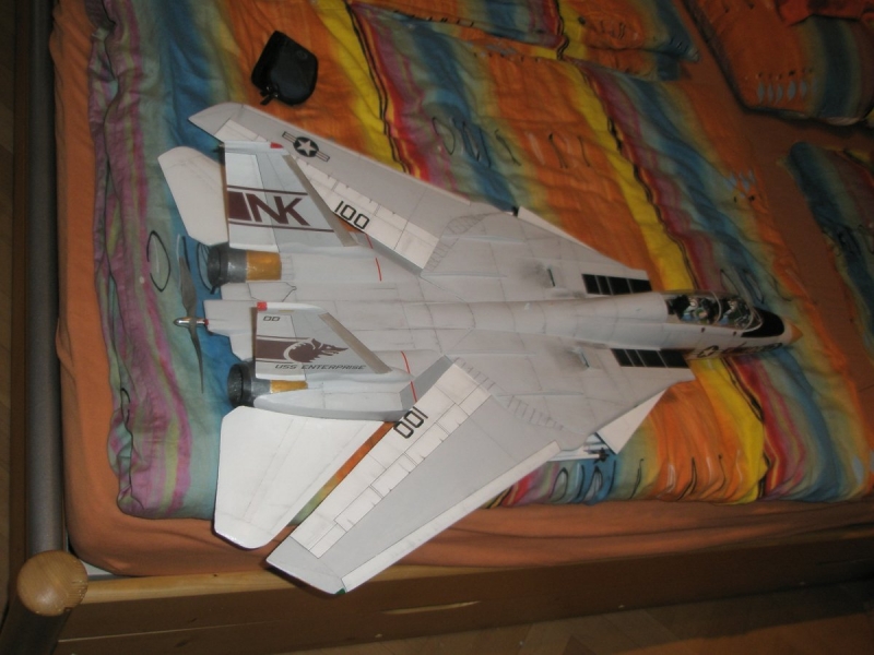 F 14 Kocour