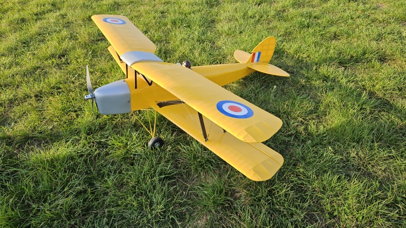 Tiger-Moth Pichler