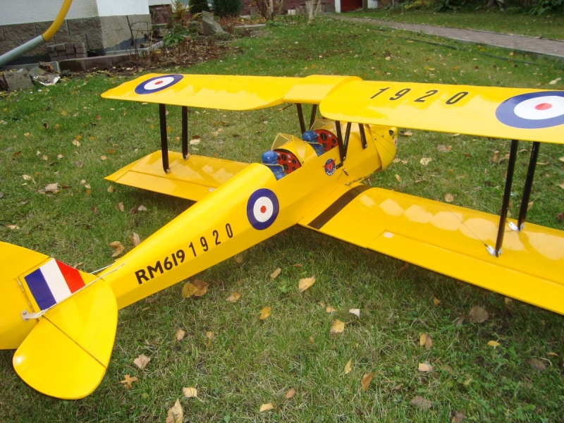 Tiger Moth size .40