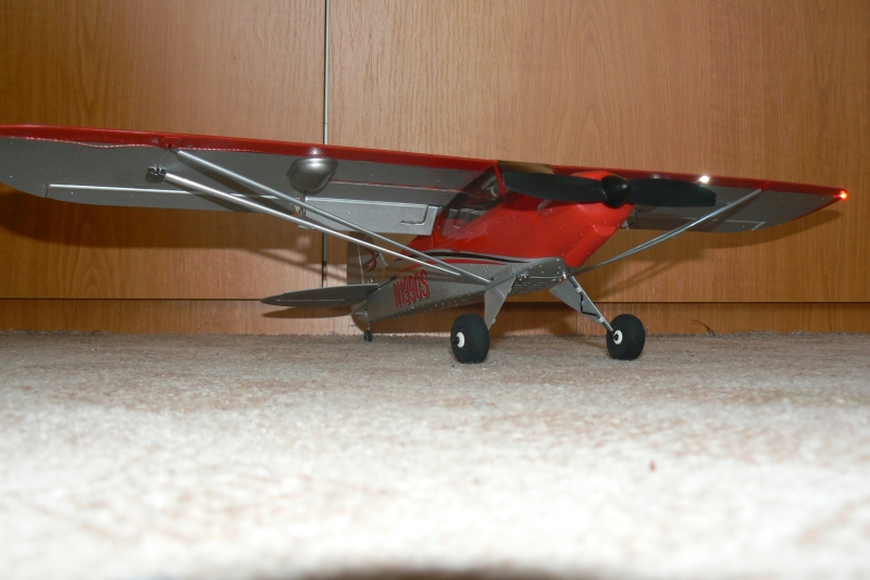 UMX Carbon CUB SS Bind N Fly