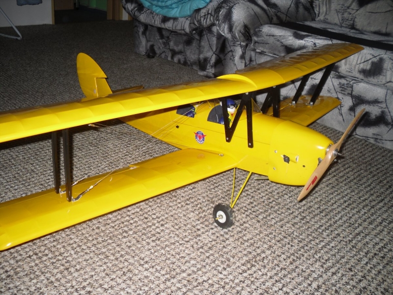 Tiger Moth