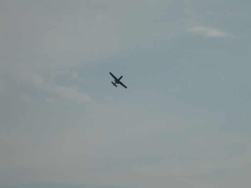 A-10 Thunderbolt.II./Warthog