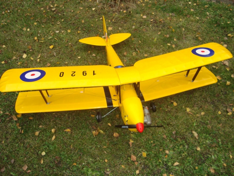 Tiger Moth size .40