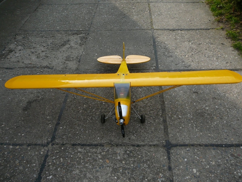 Piper J-3 Cup