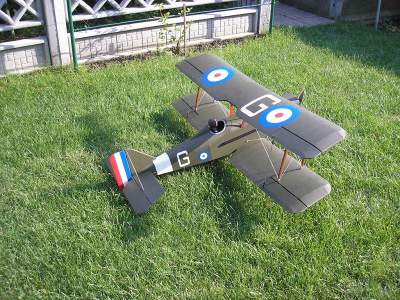 SE5a