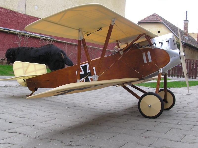 Schütte Lanz D.III