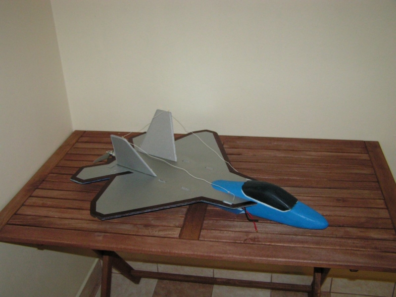 F - 22 Raptor