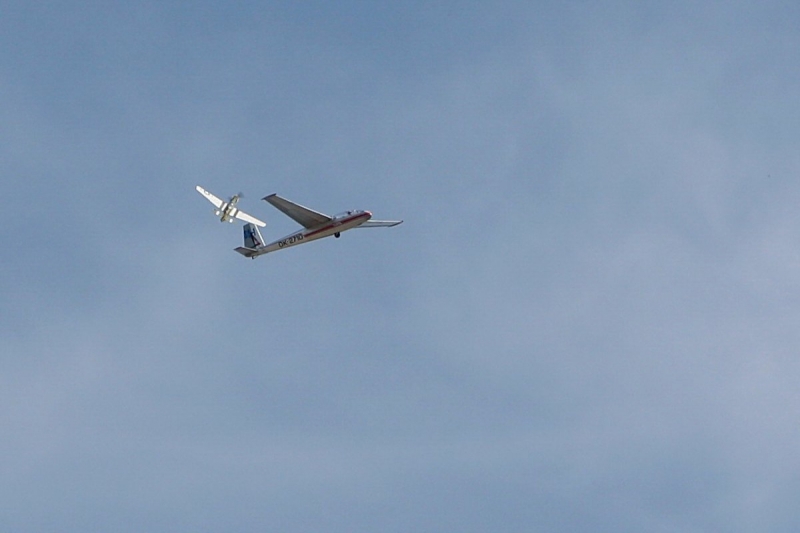 P-51D Mustang