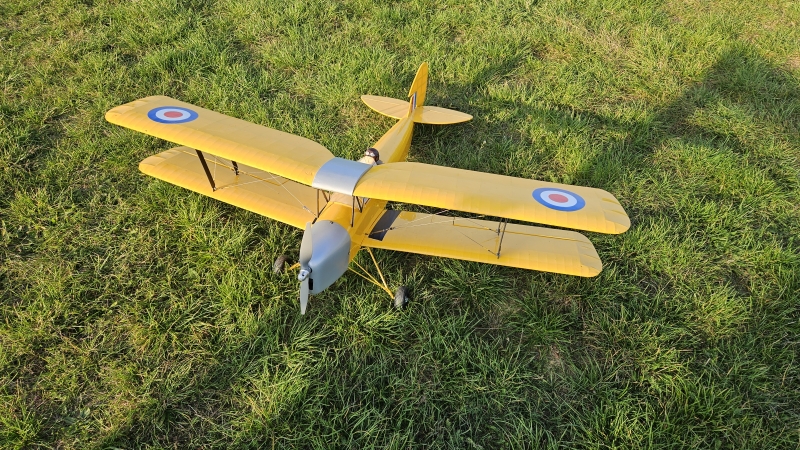 Tiger-Moth Pichler