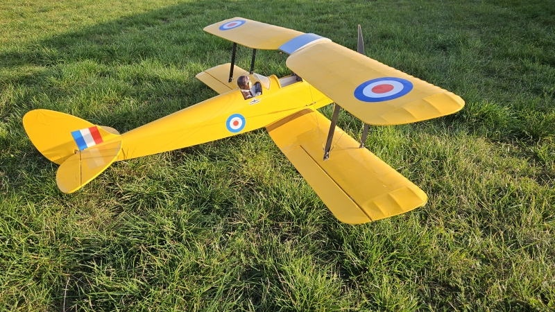 Tiger-Moth Pichler