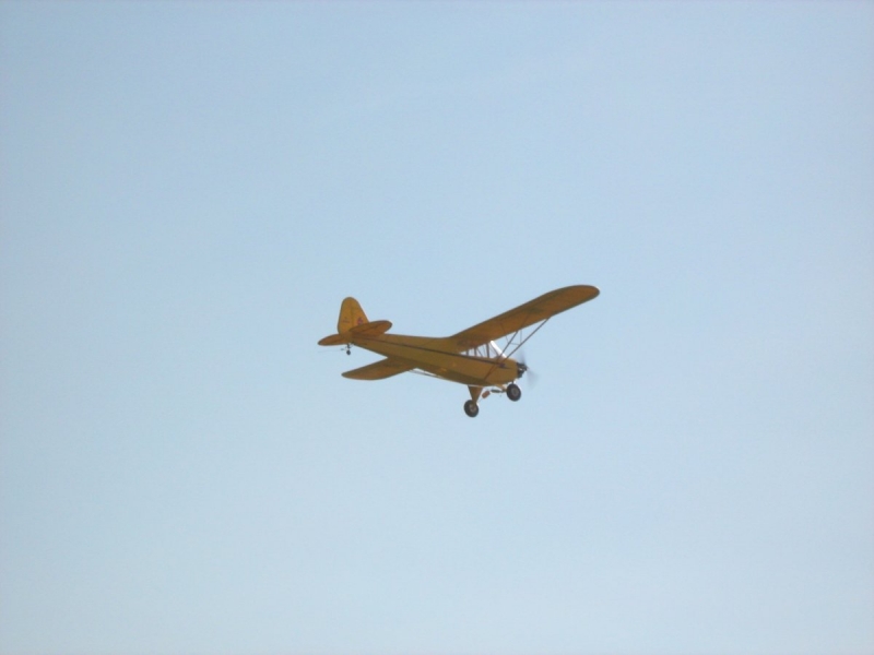 Piper J3 Cub 1/4