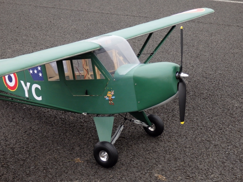 Piper Grasshopper 1830mm